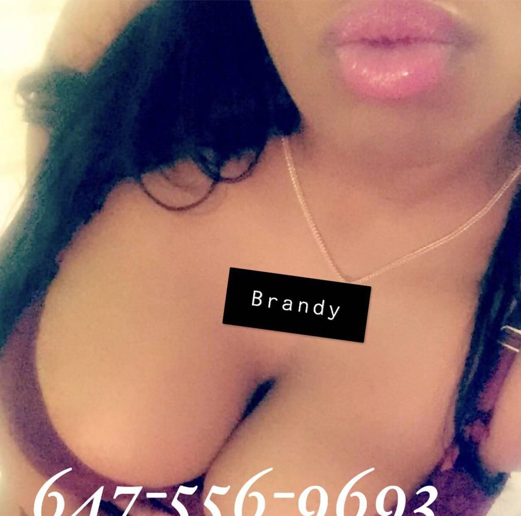 BRANDY BUSTY SQ UIRTER BIG BOOTY Sexy PARTY GIRL