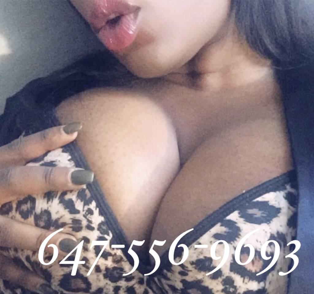 BRANDY BUSTY SQ UIRTER BIG BOOTY Sexy PARTY GIRL